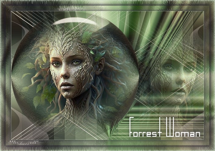 Forrest Woman Forrest Woman